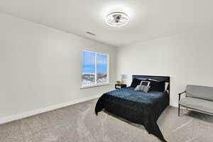 Bedroom with carpet floors