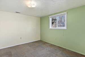 Carpeted spare room with a textured ceiling