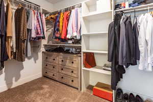 Primary bedroom with walk in closet featuring carpet flooring