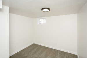 Basement featuring carpet and a textured ceiling