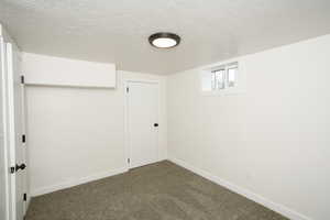 Basement with dark colored carpet and a textured ceiling