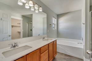 Bathroom featuring vanity and independent shower and bath