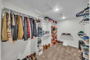 Walk in closet with carpet