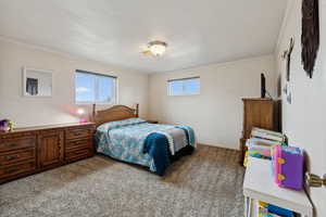 Bedroom featuring carpet flooring and crown molding