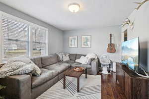 Living room featuring dark wood-type flooring