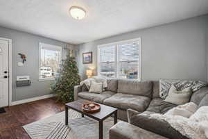 Living room featuring dark hardwood / wood-style floors