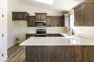 Kitchen featuring kitchen peninsula, stainless steel appliances, lofted ceiling with skylight, and sink