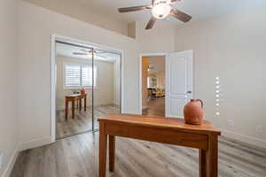 Unfurnished office featuring ceiling fan and light hardwood / wood-style flooring