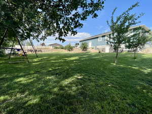 View of backyard with a playground