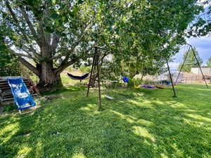 View of backyard with a playground