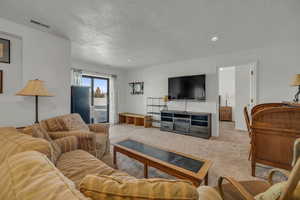 Carpeted living room with a textured ceiling