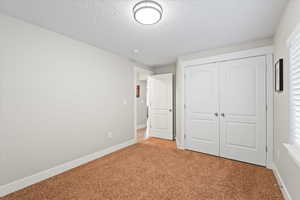Unfurnished bedroom featuring carpet flooring, a textured ceiling, multiple windows, and a closet