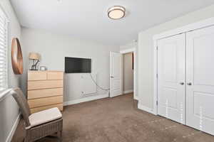 Living area with dark carpet