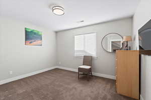 Unfurnished room with a textured ceiling and carpet floors