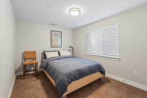 Carpeted bedroom with a textured ceiling