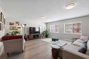 Living room featuring light wood-type flooring