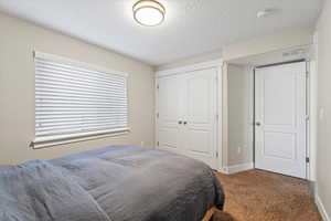 Bedroom featuring multiple windows, a closet, carpet floors, and a textured ceiling