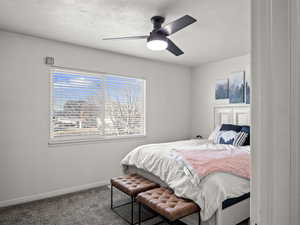 Carpeted bedroom featuring ceiling fan and multiple windows