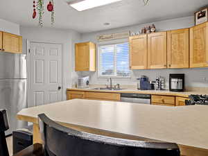 Kitchen featuring light brown cabinets, sink, and stainless steel appliances