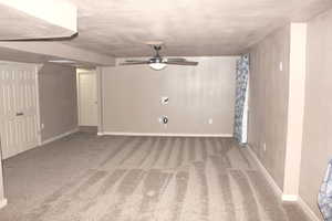 Large Basement Family room