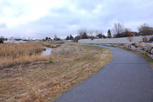 Walking Path with stream two houses down at the end of the Cul de Sac