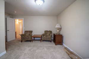 Bedroom  area featuring light carpet