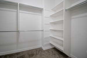 Master walk in custom closet