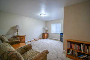 Featuring light colored carpet and a textured ceiling