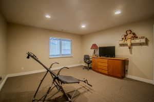 Workout room featuring carpet flooring