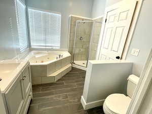 Full bathroom with vanity, plus walk in shower, a healthy amount of sunlight, and toilet