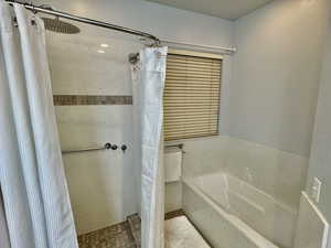 Master Tub & Shower