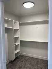 Spacious closet with dark carpet