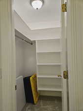 Spacious closet featuring carpet