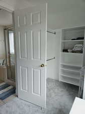 Walk in closet with light carpet