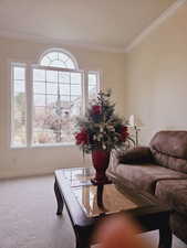 Living room with carpet, a healthy amount of sunlight, and ornamental molding