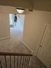 Staircase featuring carpet floors