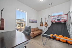 Office space featuring plenty of natural light and light hardwood / wood-style floors