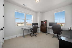 View of carpeted office