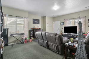Living room featuring a textured ceiling and carpet floors