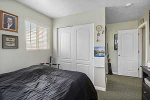 Carpeted bedroom featuring a closet