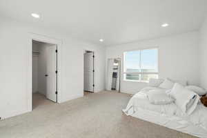 Bedroom with a walk in closet, light carpet, and a closet