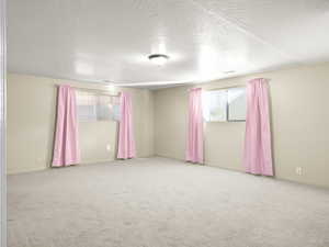 Unfurnished room featuring carpet