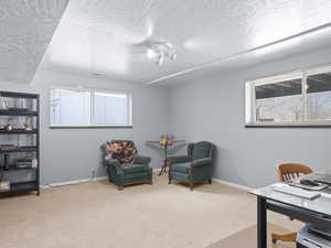 Office area with plenty of natural light and light colored carpet