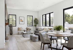 Living room featuring a healthy amount of sunlight and light wood-type flooring