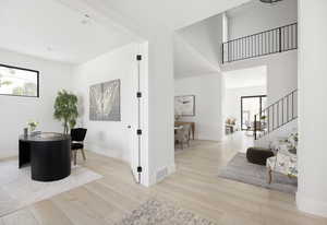 Entryway featuring a healthy amount of sunlight and light hardwood / wood-style flooring