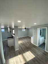 Basement featuring dark hardwood / wood-style floors