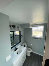 Bathroom featuring vanity, wood-type flooring, and toilet