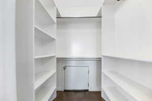 Spacious closet with dark colored carpet