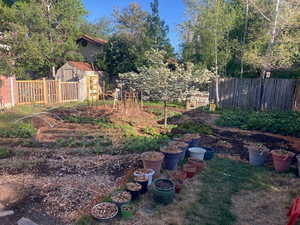 View of yard with a storage shed