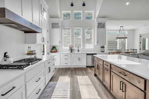 Kitchen with appliances with stainless steel finishes, ventilation hood, white cabinetry, and pendant lighting